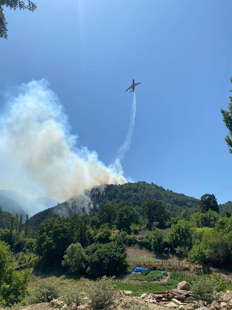 Yine orman yangını 'sınavı': Alevlerle mücadelede son durum ne? 9